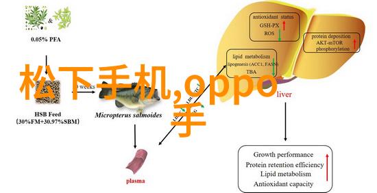 室内装修设计图如何挑选合适的色彩搭配