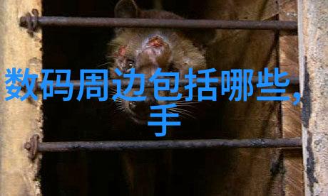37大但人文艺术深度探索中国传统文化与现代艺术的融合