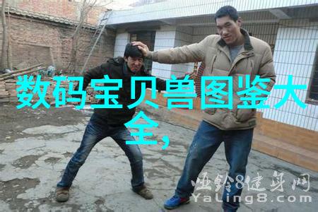 探索imtp填料背后的文化意义