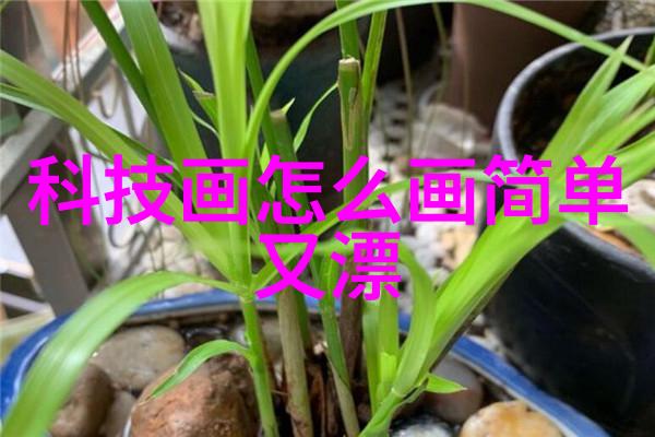刹车线的重要性与维护方法