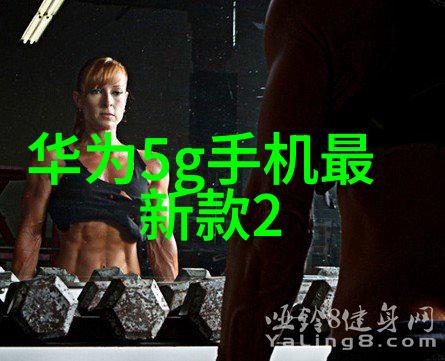 增强材料性能的秘密探索填料作用与特性的奥妙