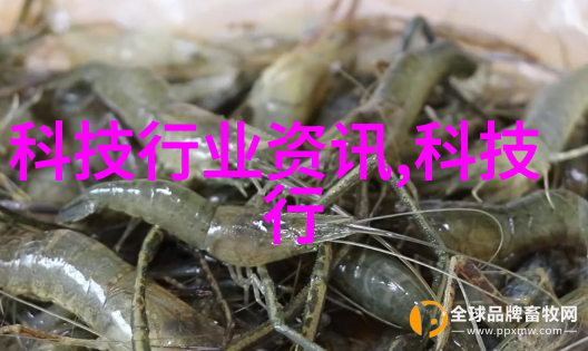 水系之谜揭秘水利工程与管理的未解之谜