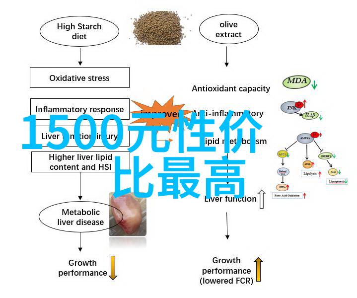 超高压力下的净化艺术揭秘超高压杀菌技术的奇迹