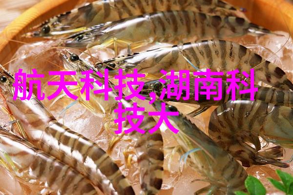 水利工程专业从堤坝到职场潮涨潮落的就业奇遇