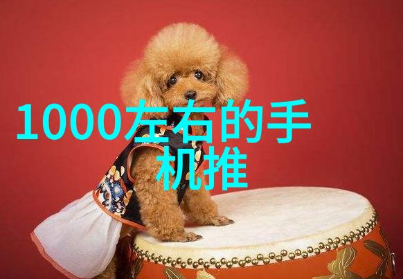 新一代排水管材质价格对比与选择建议