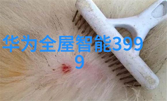 空气分离技术的新纪元高效净化设备革新未来