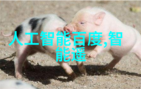 温带地区锅炉房中实施有效的烟气余热回收方案方法论