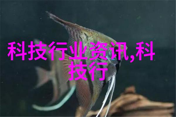 无需再次粉刷探索免漆门的独特魅力与实用性