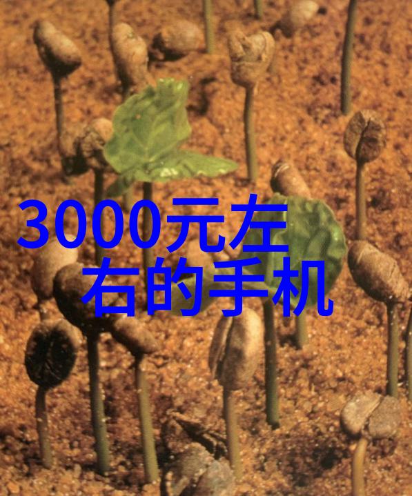 粉煤灰的多重面貌与可持续利用前景