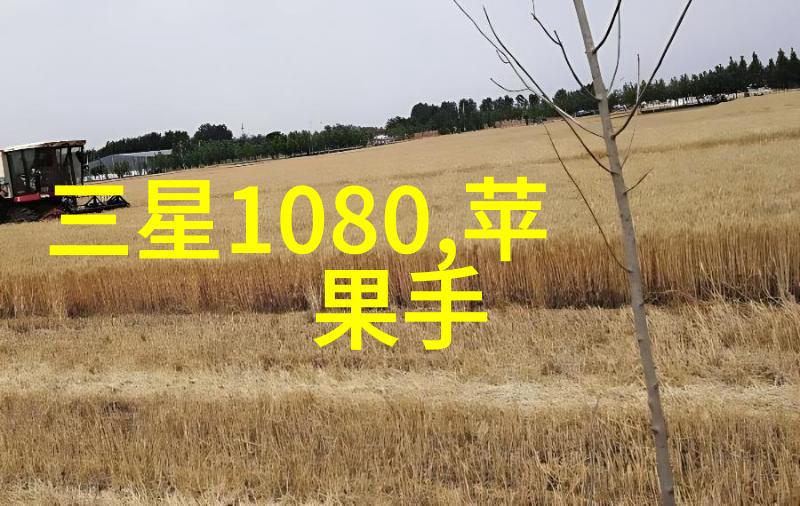 国家市场监管机构发布新政策提升消费者权益保护水平