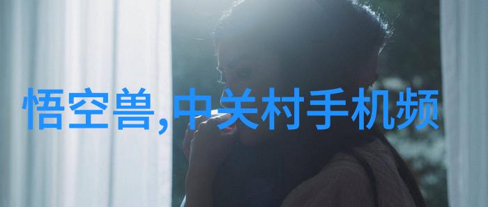征信报告揭秘你的信用神秘力量