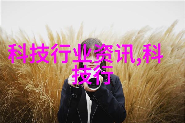 图示: 一台高压反响器