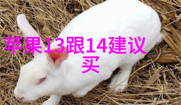 高温瞬时灭菌设备-超高速热能清洁革命如何让物品在一瞬间变得无菌