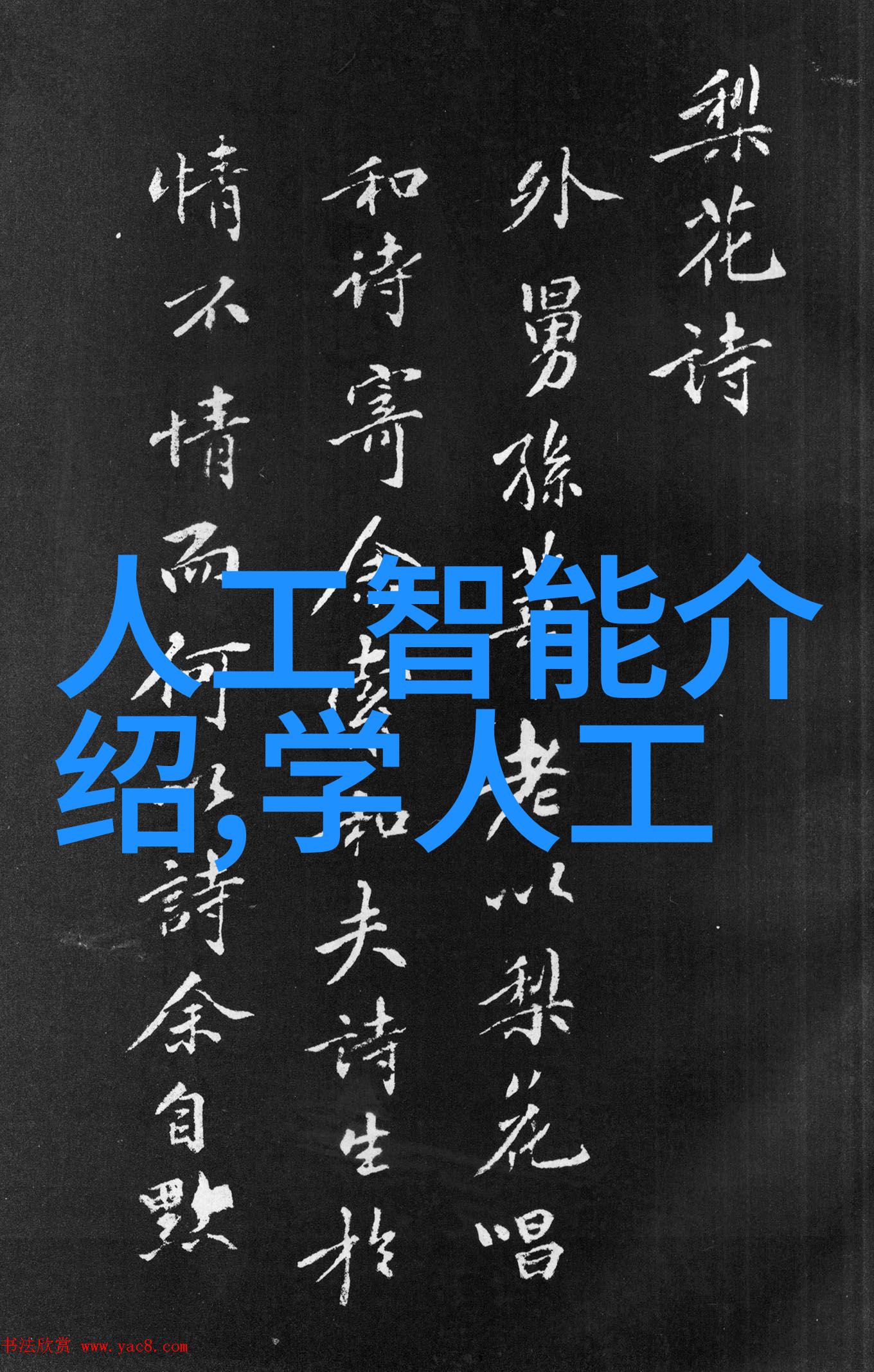 海底的秘密扇贝与乌龟之间的奇妙纽带