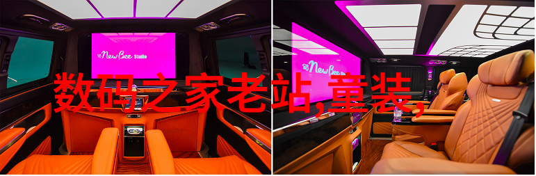 校花小柔舞蹈室遭遇记绽放的舞步与隐藏的秘密