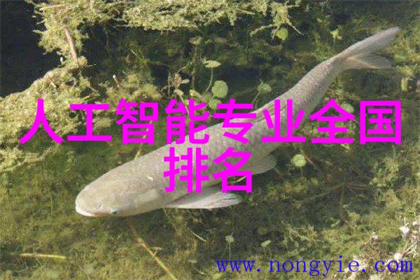 深度挖掘矿山机械设备的进步与创新
