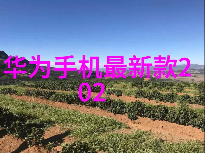 农村卫生间的智慧设计从简约到舒适的转变