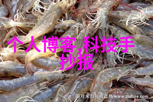 复式空间的魅力如何打造50平米梦想样板间