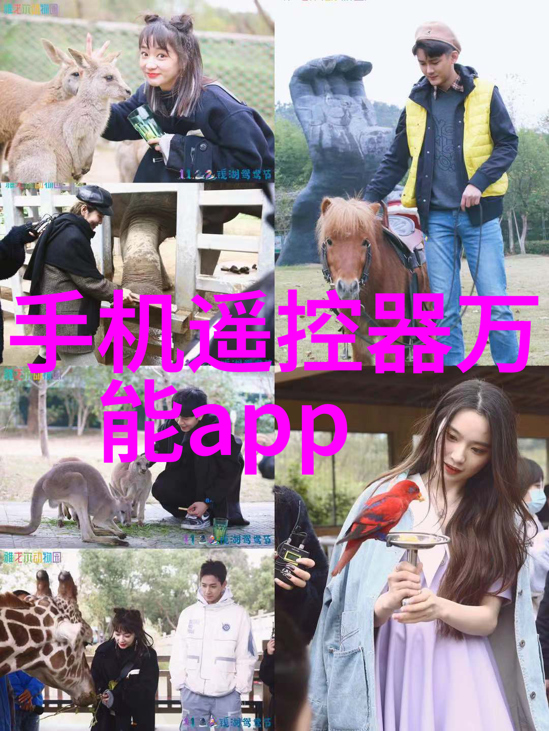 探索高效率BAC闭式冷却塔填料的选择与应用