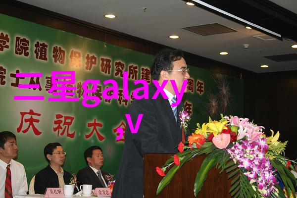 自己装修房子如何设计呢我是怎么把自己的小窝打造成梦想之家