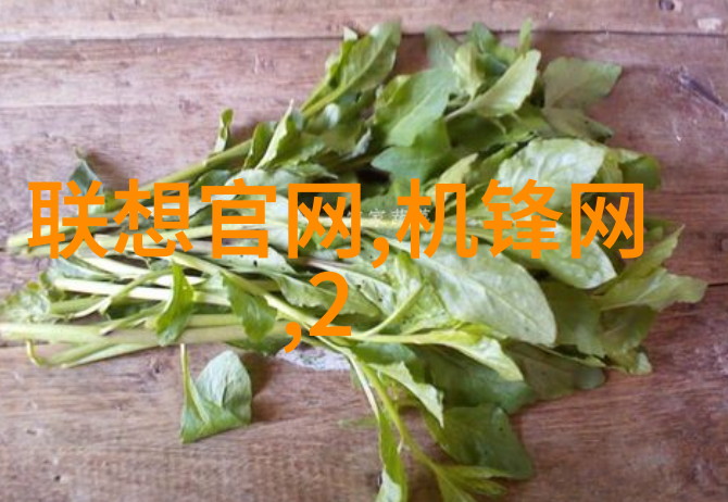 城市之脉选择合适的供水管道系统