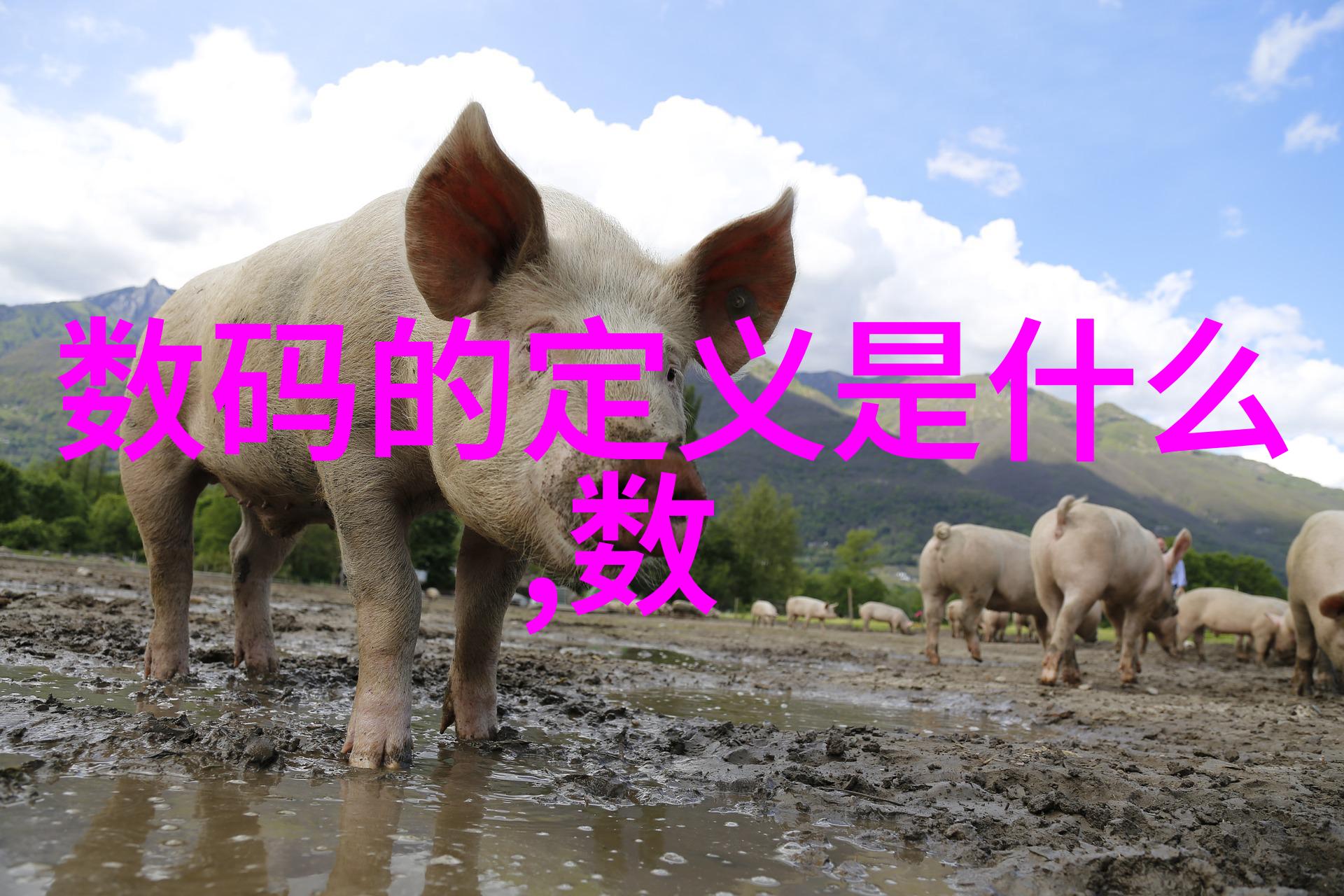 S货C货大声点叫时尚货与潮流货的激情呼唤