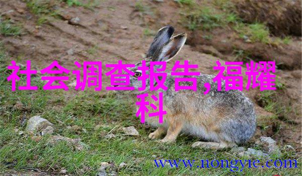 卫生间补漏灌胶大作业3000多元的维修成本