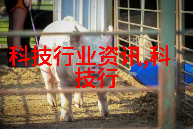变态传奇世界诡秘与奇幻的交织
