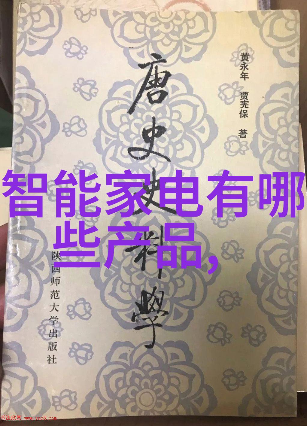 家居美学邻里知名装修团队的创意之旅