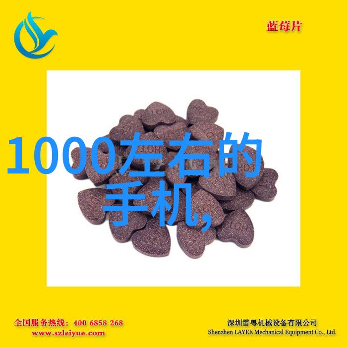 新兴科技与传统设备融合智能化高压灭菌锅新规格型号探索