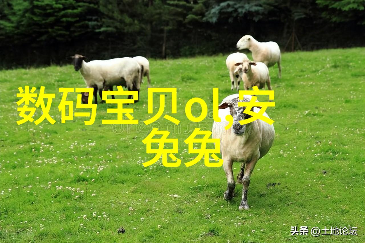 机器的心跳定量给料机背后的未知秘密
