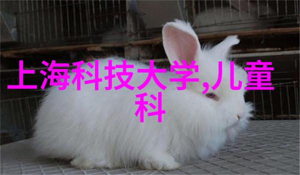 闪耀的工匠一家不锈钢加工店的故事
