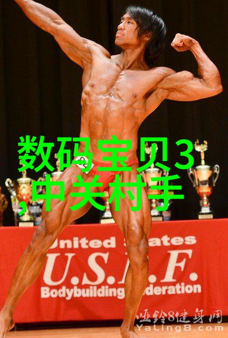 我的个人工作总结回首过去的足迹从新手到小能手的奋斗历程