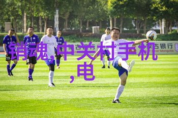 特殊功能材料市场热点分析能否带来超额收益
