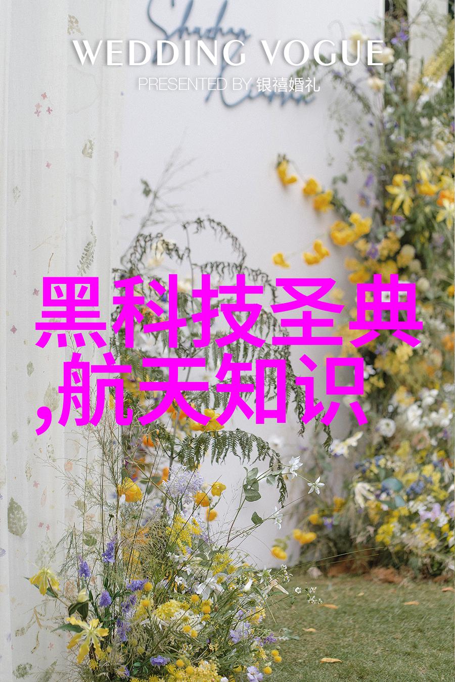 从简到繁不同空间需求下的佛山家居布局建议
