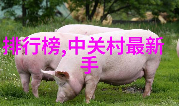 木与观限定中字文中的母亲故事