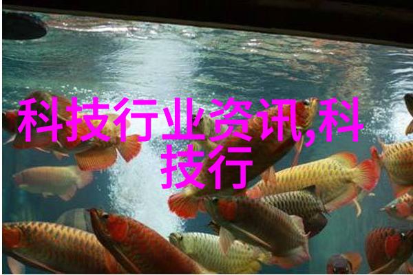 破碎梦想的机器粉碎设备背后的故事
