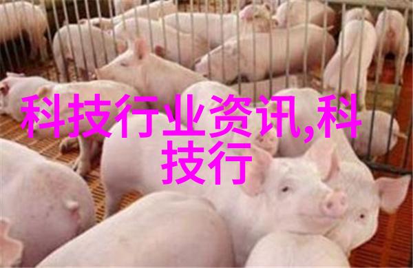化学疗法的古秘术化工炮灸的奇妙探索