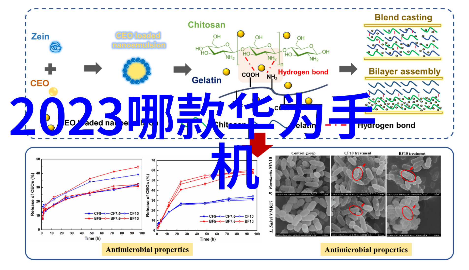 pp-r管材新一代环保管道材料的兴起