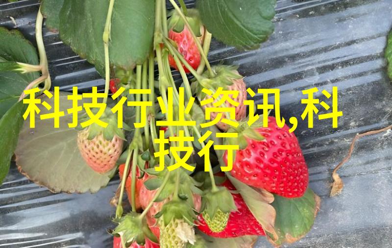 工具-五金件的魅力剖析金属制品的设计与应用