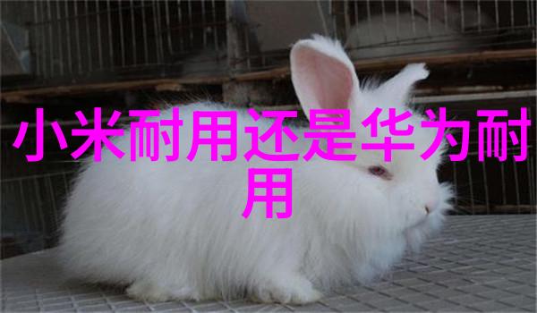 现代家居装饰新趋势不锈钢的魅力与应用