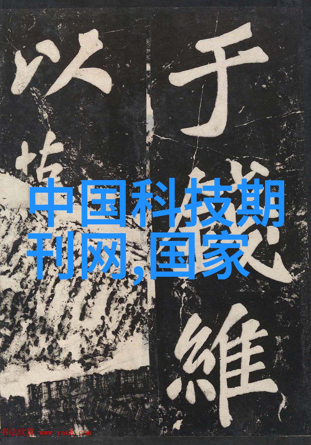 金融市场动态与投资策略分析