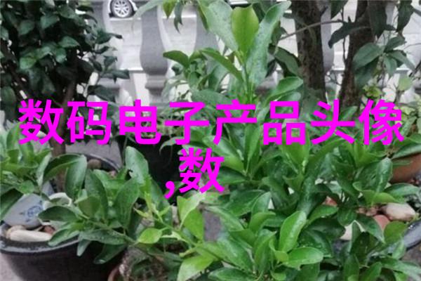 芯片是指什么-揭秘芯片世界从电子元件到智能技术的驱动力
