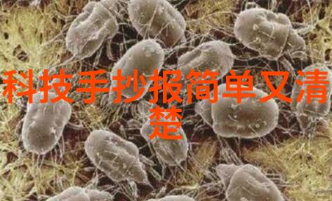 顾道长生传说中的古代药师与精灵的友谊