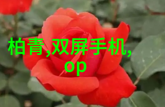 工业废气处理器绿色技术的新希望