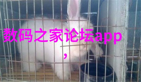 卫生间补漏灌胶的高额花费3000元的沉重打击