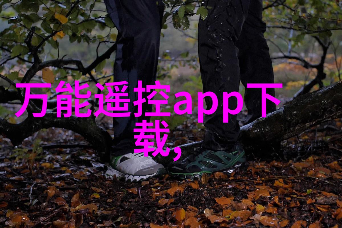 完美卫生间地面装修指南从准备到最后打磨的全过程