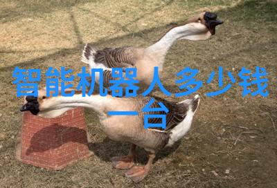 爱与死亡的交响曲仙知SRC顶升式搬运机器人第二季新品速递机械之歌奏响