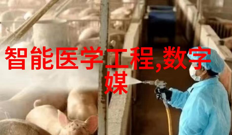 色彩缤纷的空间梦想探索最适合你家装修设计的大师