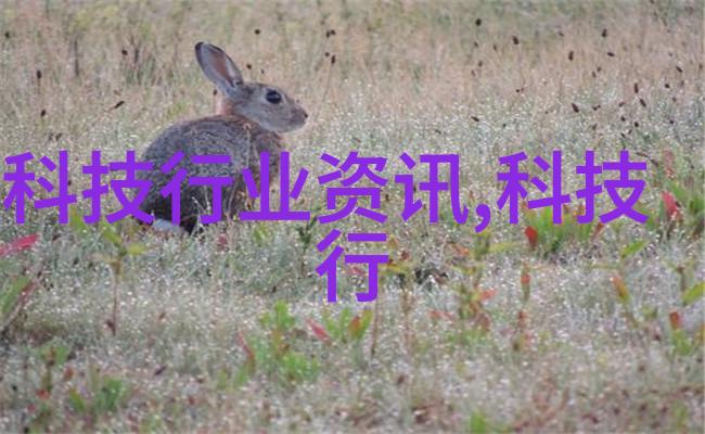 家居美学-温馨雅致的卧室装修图片创造梦想之所